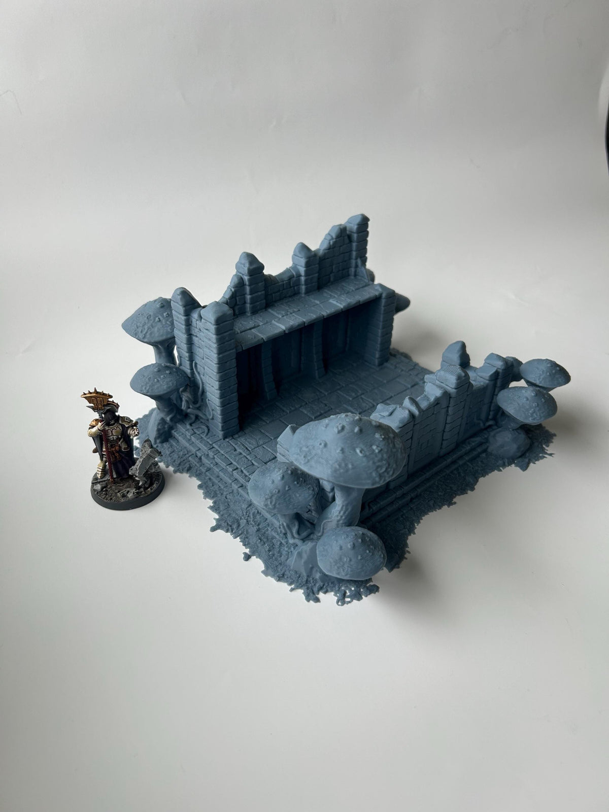 FungalWood Ruins, Jungle, Mushroom Wargaming Terrain. Fantasy Scenery, Suitable for Warhammer AoS, Age of Sigmar, Old world.